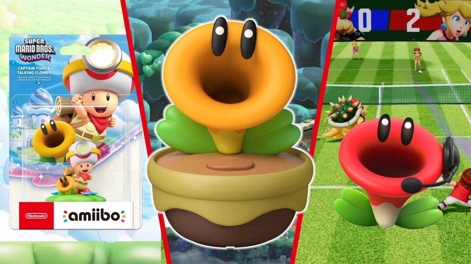 Public Fatigue Grows Over Talking Flower Phenomenon