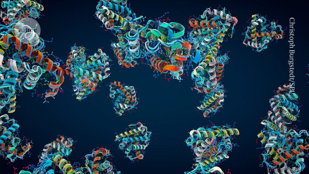 New Real-Time Technique Measures the Speed of Protein Folding
