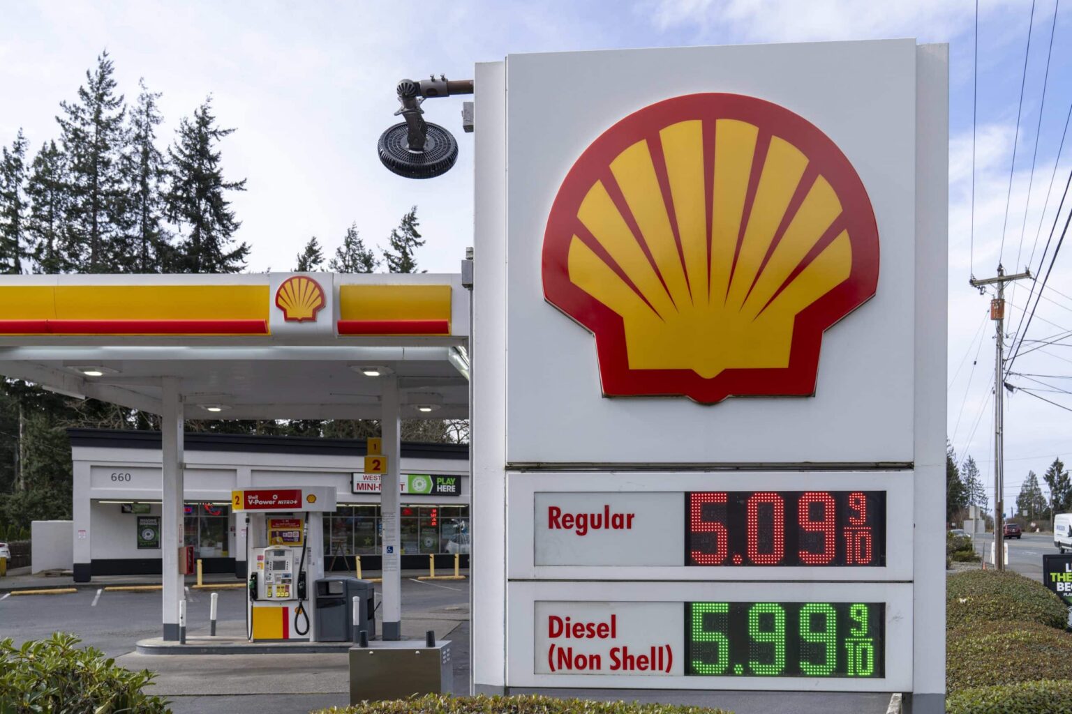 Reactions of Bitcoin and Other Cryptocurrencies