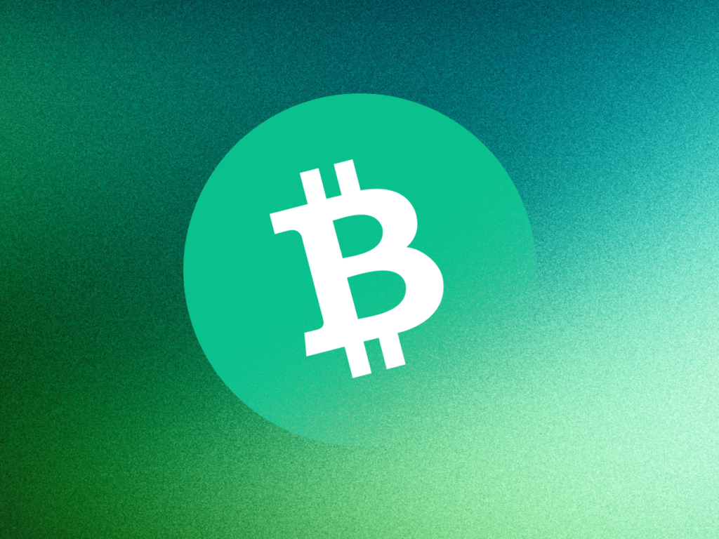 MicroStrategy: Softwareunternehmen oder Bitcoin-Investmentvehikel? Eine Analyse der Bitcoin-Treasury-Strategie von Strategy Inc.