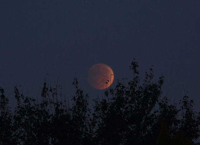 A panoramic view of Blood Moon in 2026